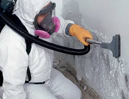 Best Forensic Mold Investigation  in London, OH